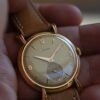 Alpha Swiss Watch